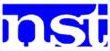 NST Logo