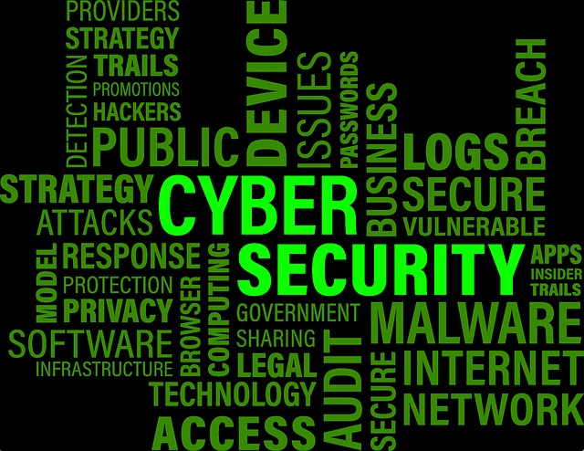 cybersecurity tips washington dc