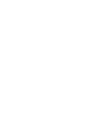 checklist icon